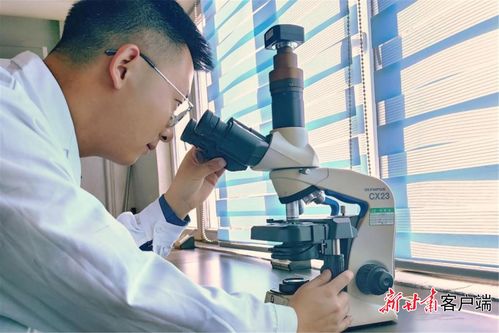 研发赋能，增产扩能 金川集团以新材料技术驱动新能源电池产业链持续壮大